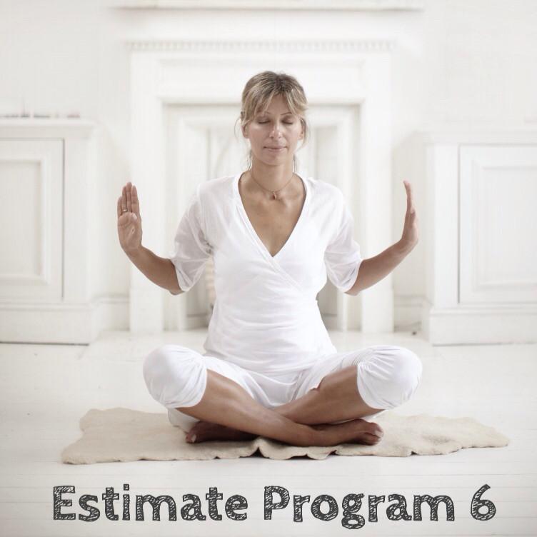 Estimate Program 6: Third-eye Chakra - Vision and Intuition